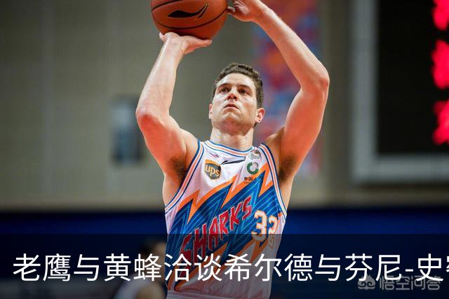 老鹰与黄蜂洽谈希尔德与芬尼-史密斯的潜在交易